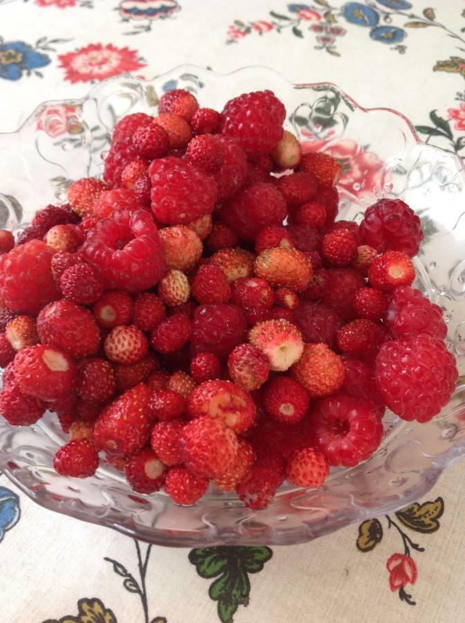 Leivi Il Nido Della Rondine B&B 외부 사진