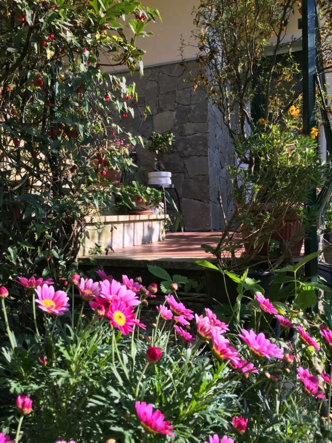 Leivi Il Nido Della Rondine B&B 외부 사진