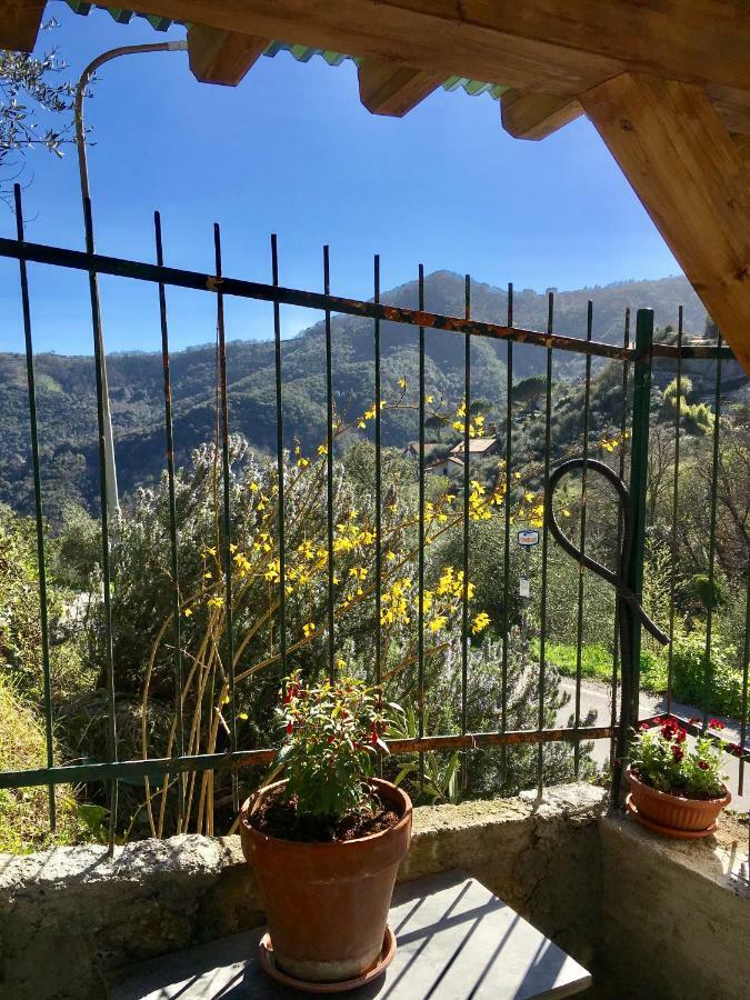 Leivi Il Nido Della Rondine B&B 외부 사진